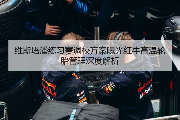 维斯塔潘练习赛调校方案曝光红牛高温轮胎管理深度解析