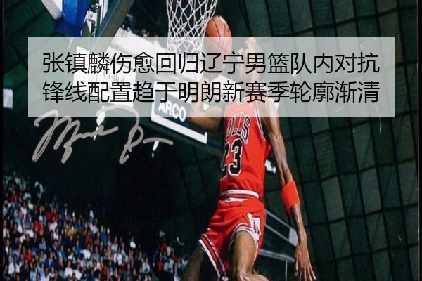 张镇麟伤愈回归辽宁男篮队内对抗 锋线配置趋于明朗新赛季轮廓渐清